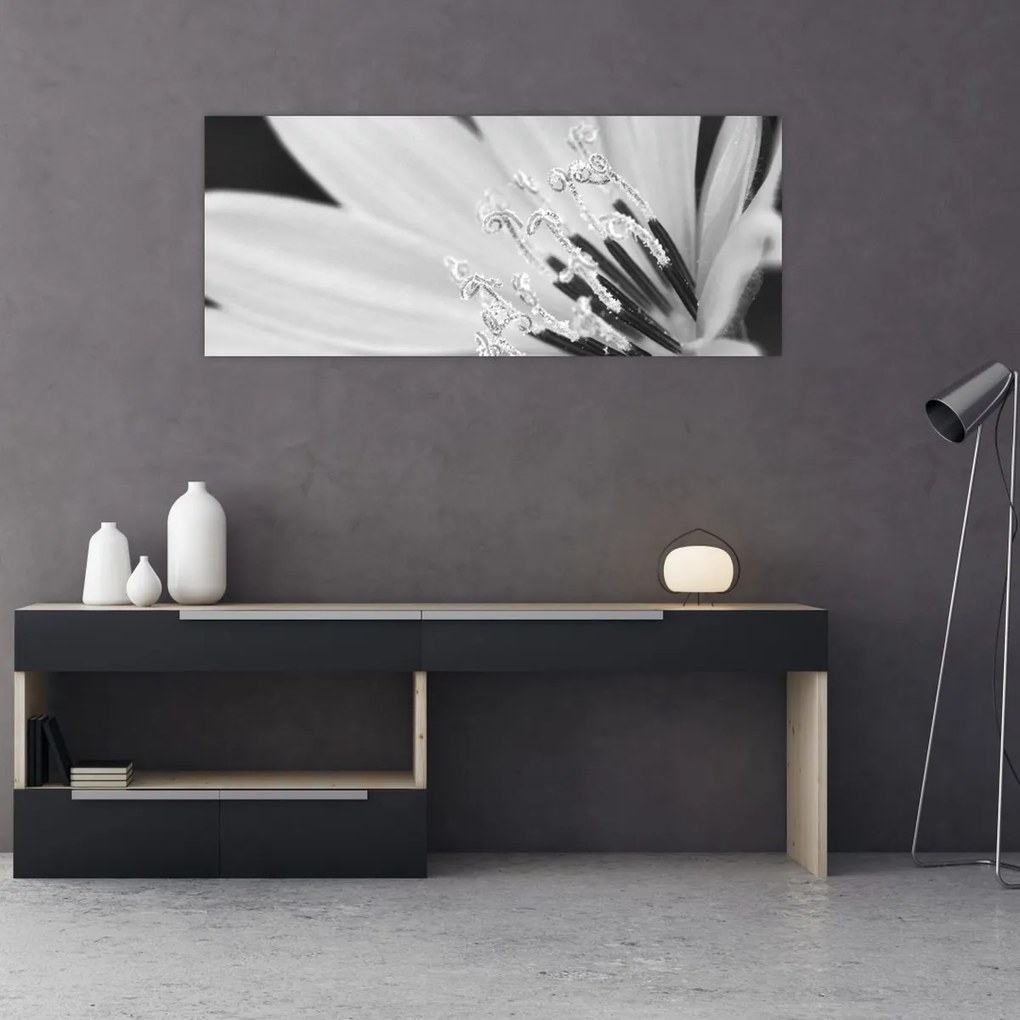Obraz - Čiernobiely kvet (120x50 cm)