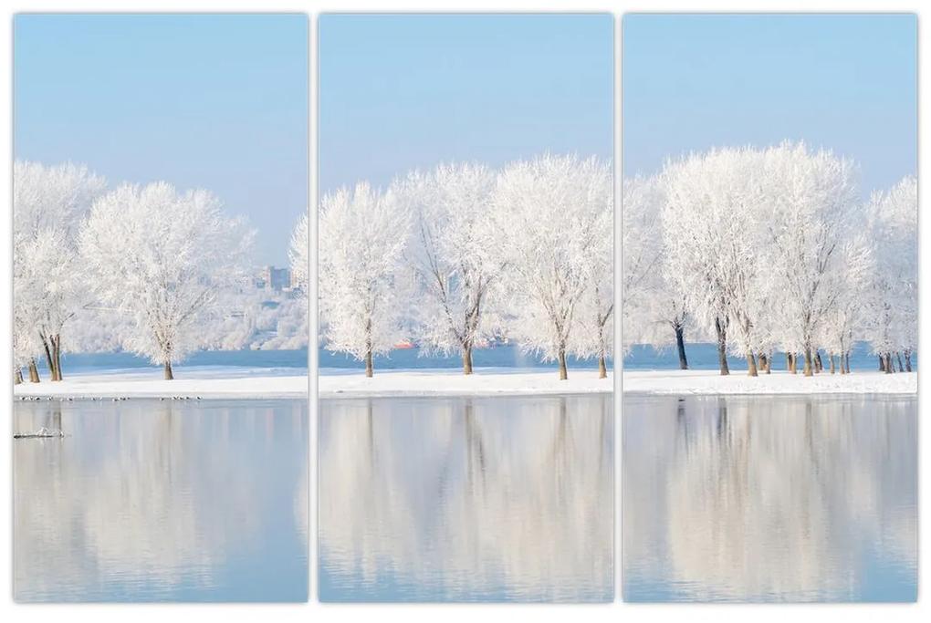 Obraz - zimná príroda