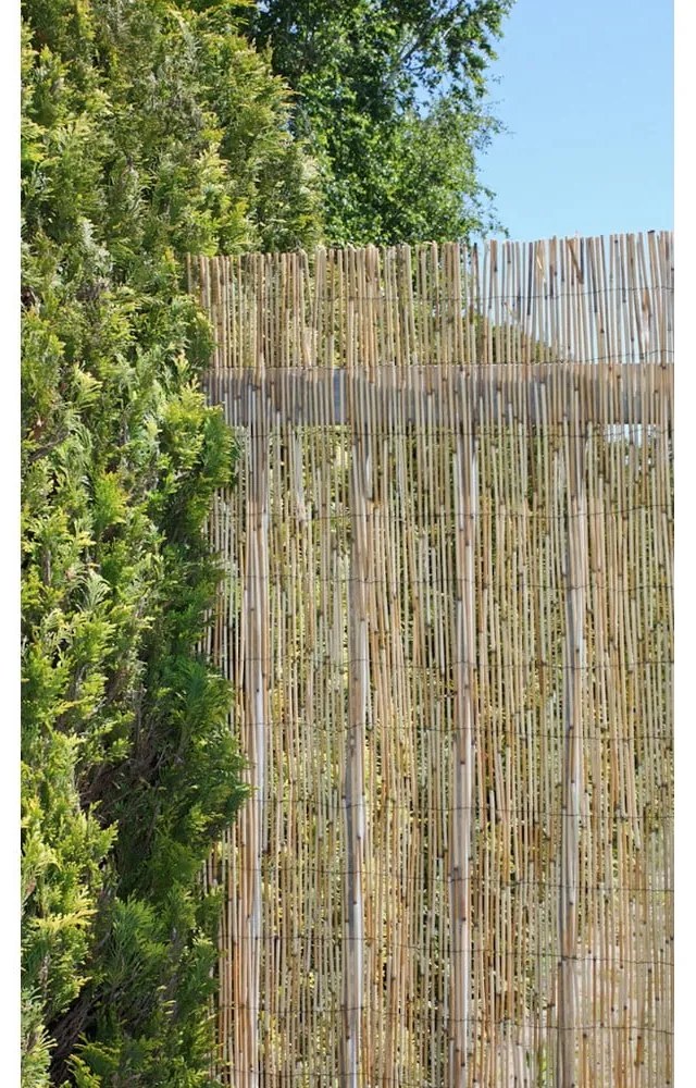 Balkónová zástena z prútia v prírodnej farbe 300x100 cm – Garden Pleasure