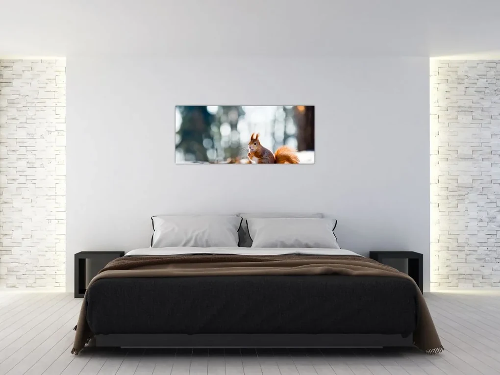 Obraz - Veverička (120x50 cm)