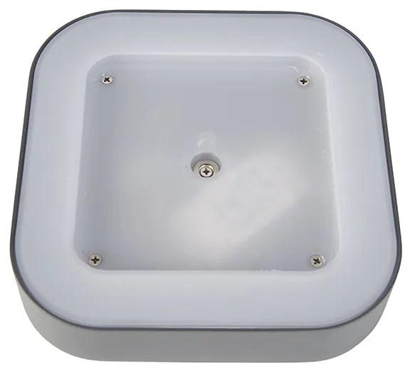 Nástenná a stropná lampa sivá štvorcová IP54 - Ariel
