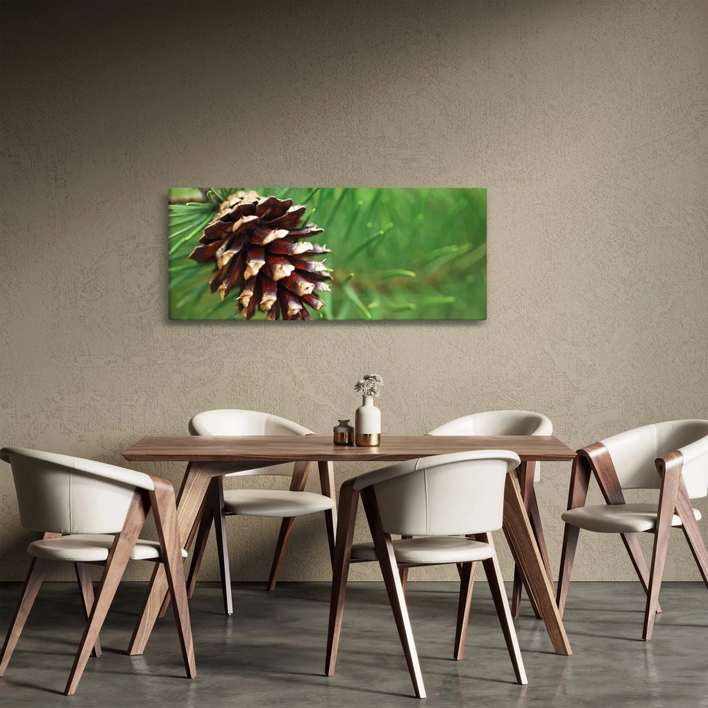 Obraz šišky (120x50 cm)