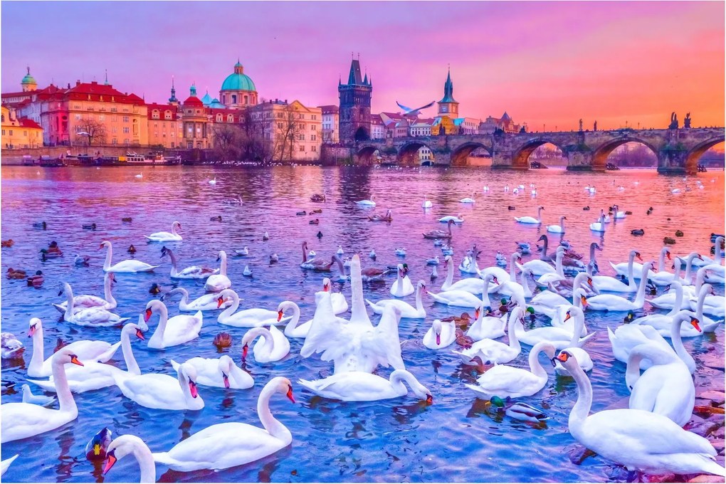 Obraz - Praha (90x60 cm)