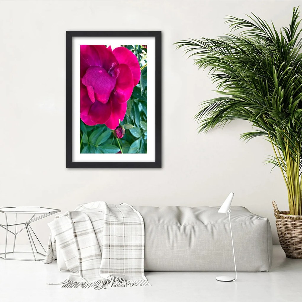 Gario Plagát Ružový veľký kvet Farba rámu: Bez rámu, Rozmery: 60 x 90 cm