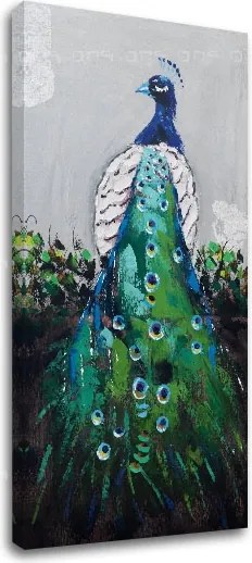 Obraz na plátne PÁV