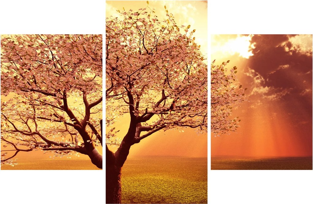Obraz lúčov Boha (90x60 cm)