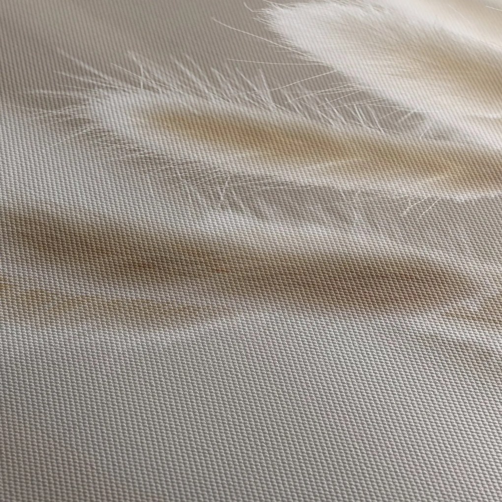 Obraz - Zajačie chvostíky (120x50 cm)