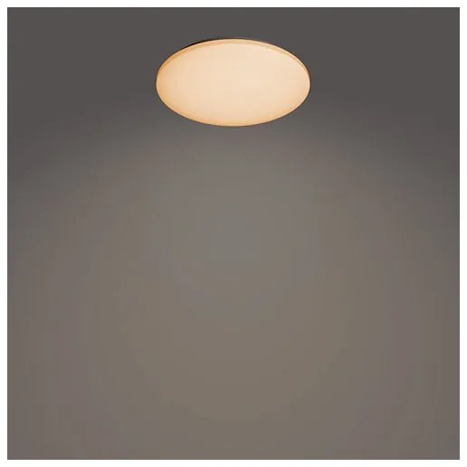 Philips - LED Stmievateľné stropné svietidlo IZSO LED/40W/230V 2700-6500K + DO