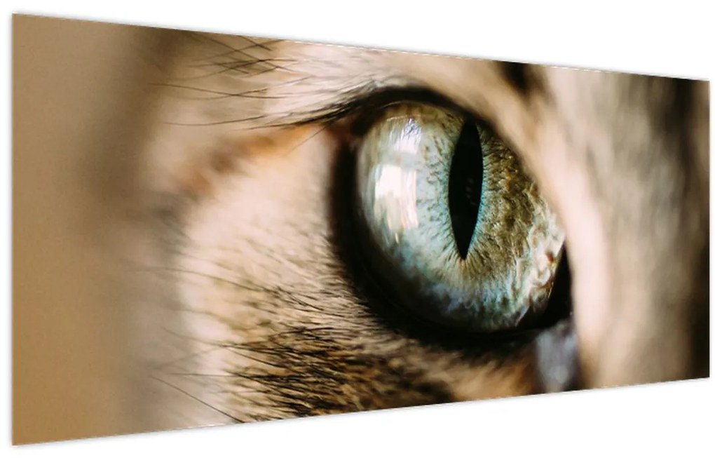 Obraz - Mačacie oko (120x50 cm)