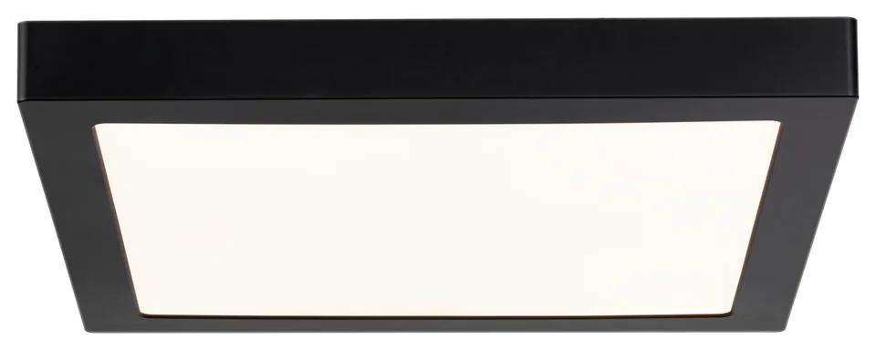 Paulmann Abia stropné svietidlo 1x22 W čierna 70985