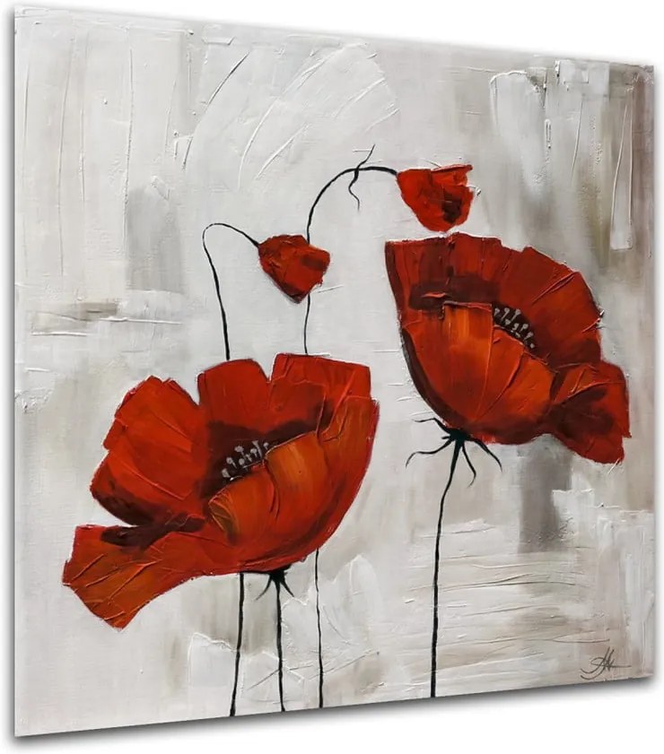 Obraz Styler Glasspik Flower Poppy Bloom, 20 × 20 cm