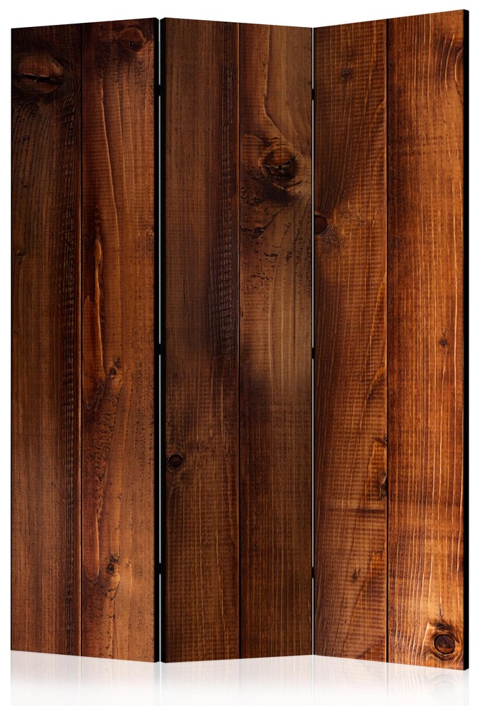Artgeist Paraván - Pine Board [Room Dividers]