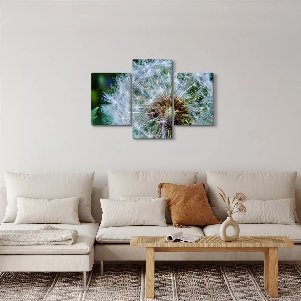 Obraz odkvitnutej púpavy (90x60 cm)