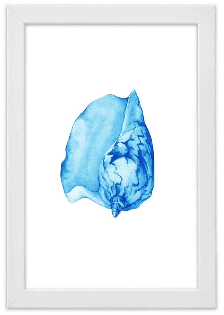 Gario Plagát Akvarel shell Farba rámu: Bez rámu, Rozmery: 40 x 60 cm