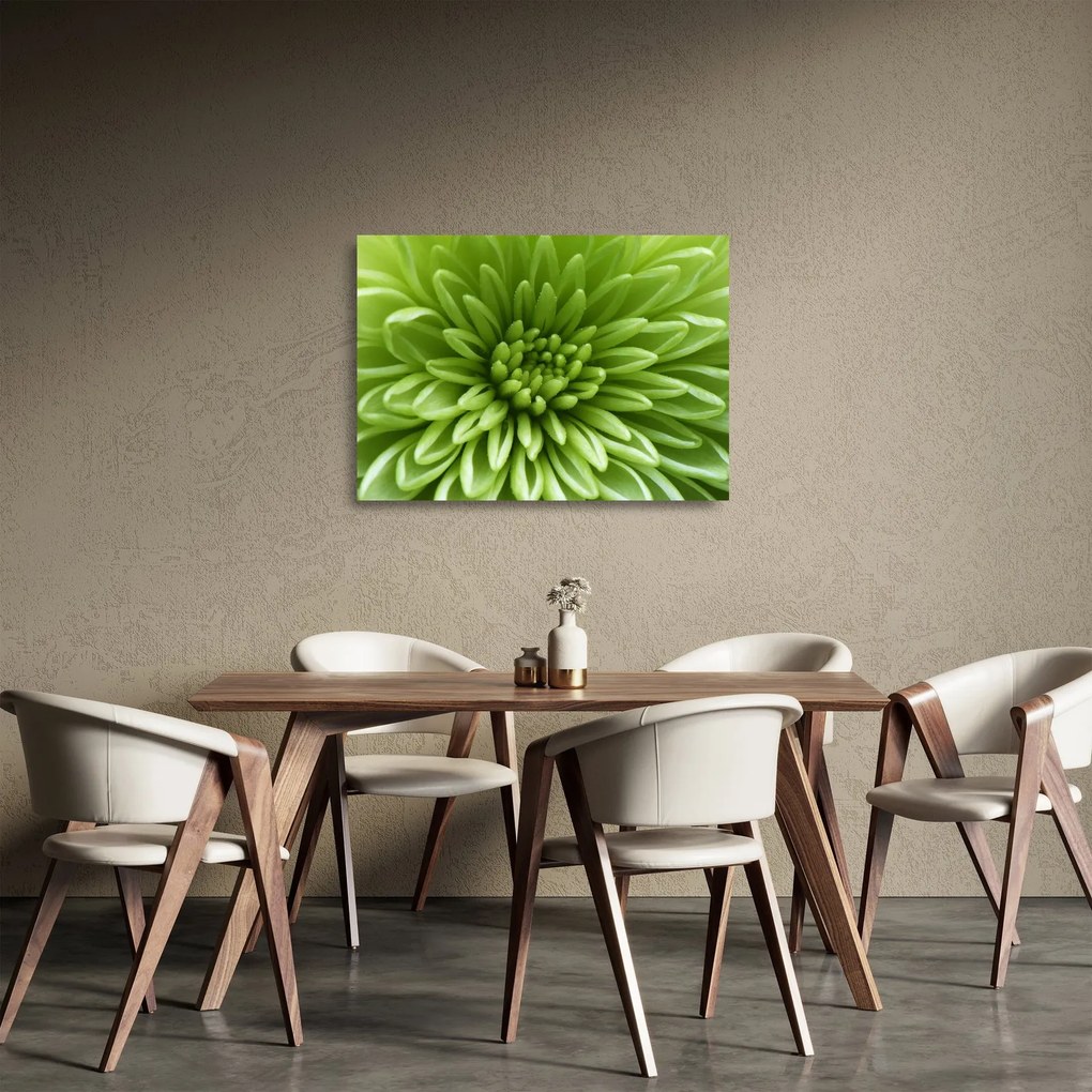 Sklenený obraz - Makro snímka rastliny (70x50 cm)