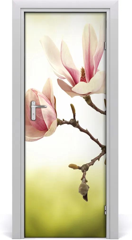 Fototapeta samolepící Květy magnolie