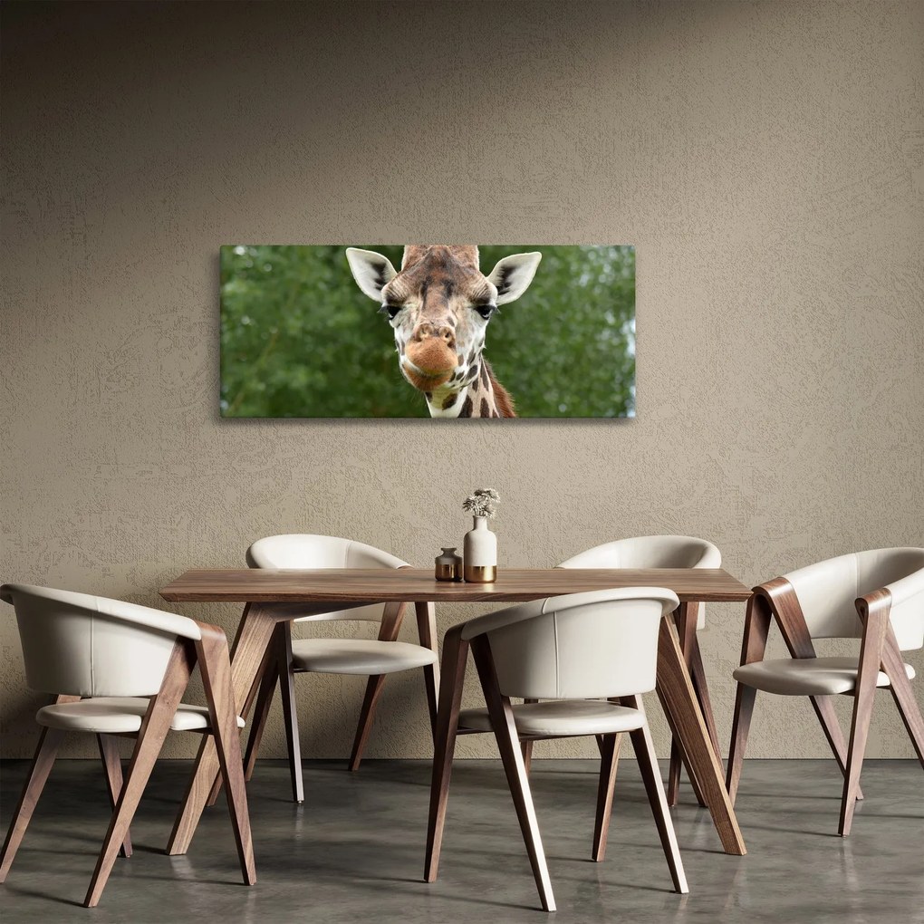 Obraz žirafy (120x50 cm)