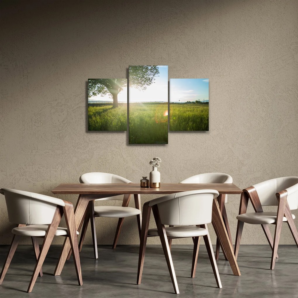 Obraz stromu v poli (90x60 cm)