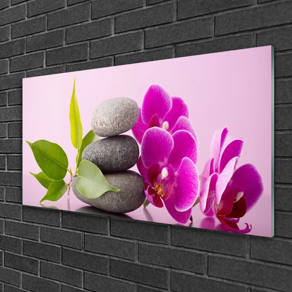 Skleneny obraz Orchidea vstavač kamene 120x60 cm