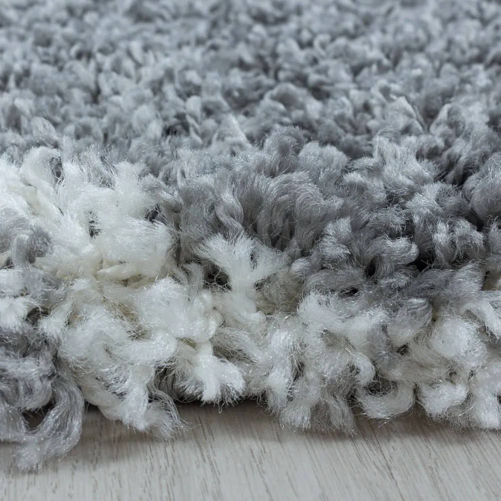 Sivý koberec 160x230 cm Salsa – Ayyildiz Carpets