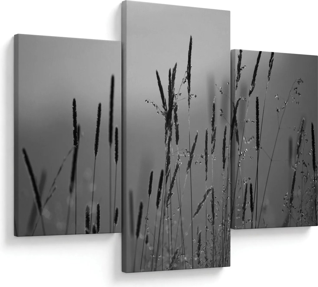 Obraz - Steblá trávy (90x60 cm)