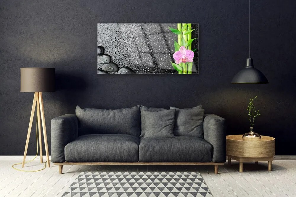 Obraz plexi Bambus stonka kvet rastlina 100x50 cm