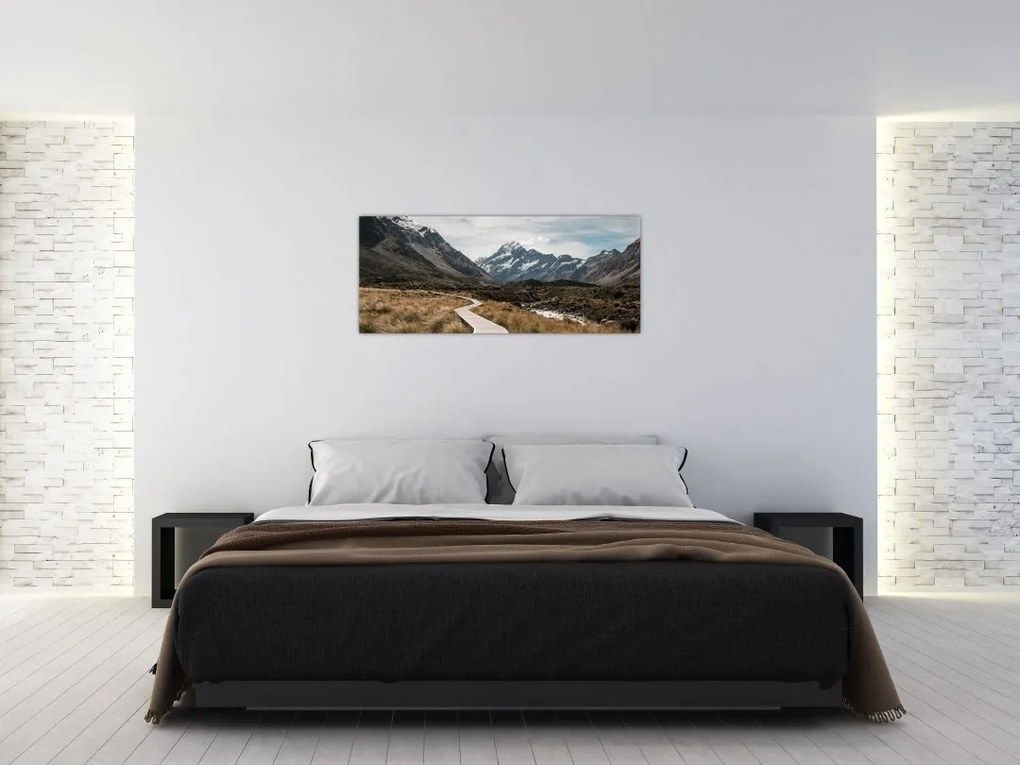 Obraz - Chodník v údolí hory Mt. Cook (120x50 cm)