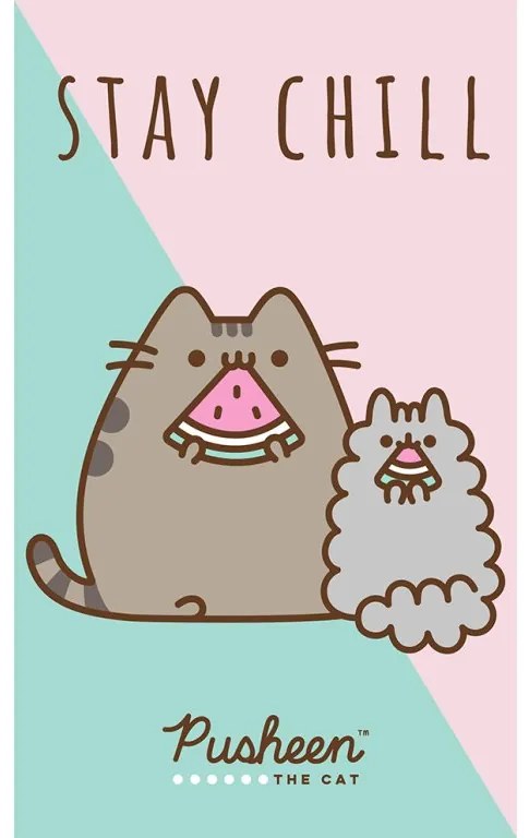 TipTrade Bavlnený froté uterák 30x50 cm - Mačička Pusheen Stay Chill