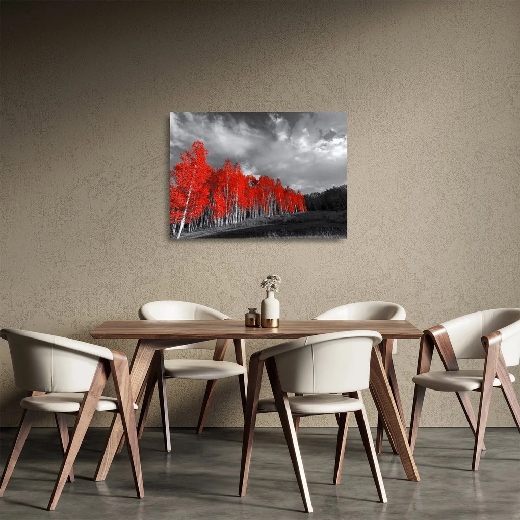 Sklenený obraz - Stromy vo farbe jesene (70x50 cm)