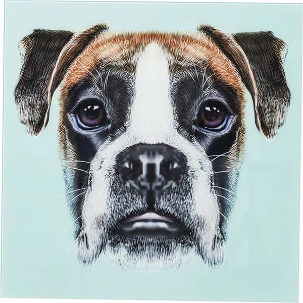 KARE DESIGN Obraz na skle Dog Face 60 × 60 cm