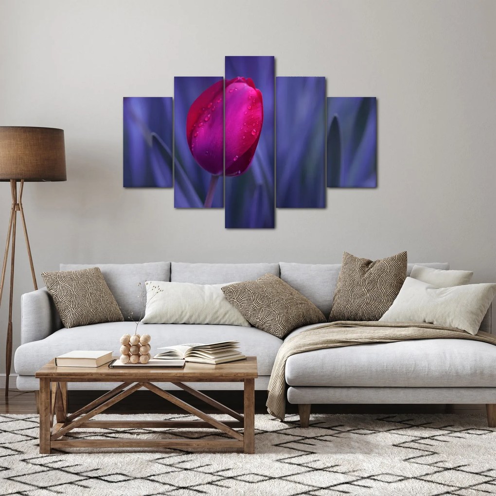 Obraz pupete tulipánu (150x105 cm)