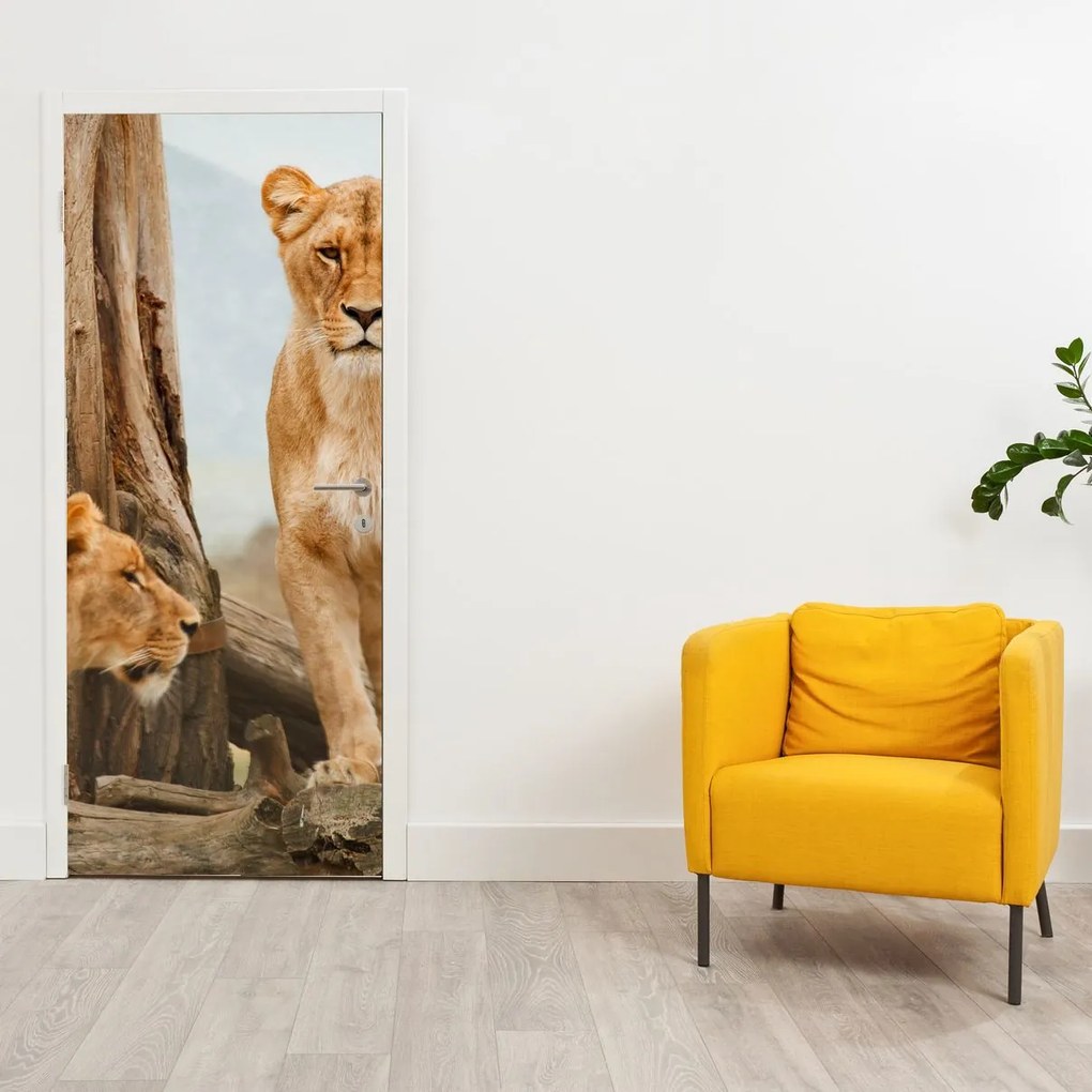 Fototapeta na dvere - Dve levice (95x205cm)