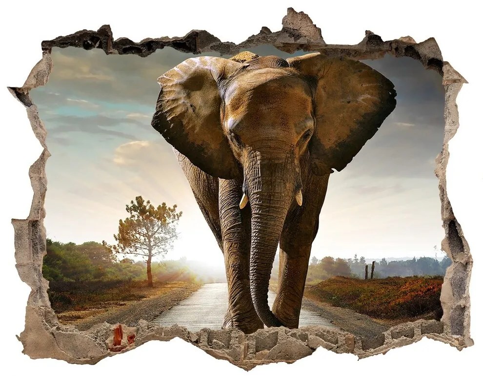 Díra 3D fototapeta na stěnu Walking slon nd-k-25742331