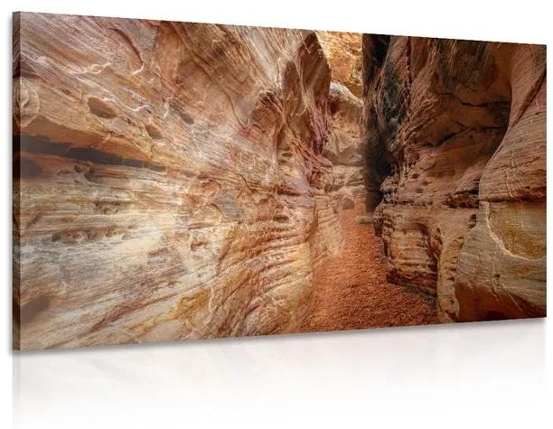 Obraz cestička Grand Canyonom Varianta: 120x80