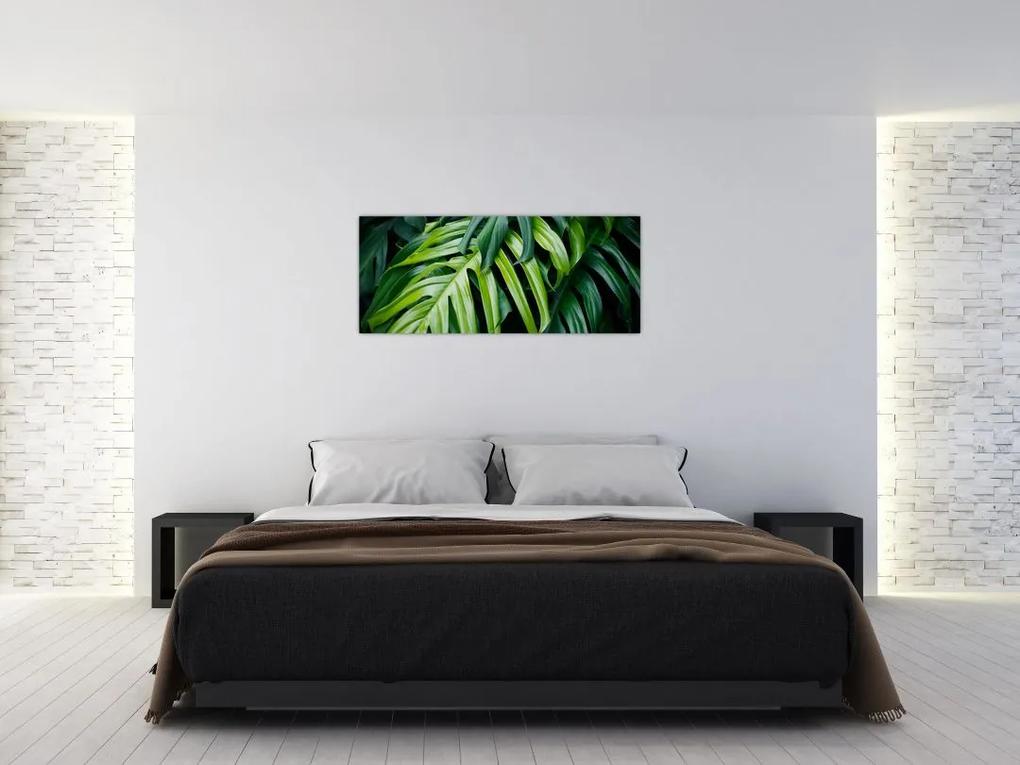 Obraz - Tropické listy (120x50 cm)