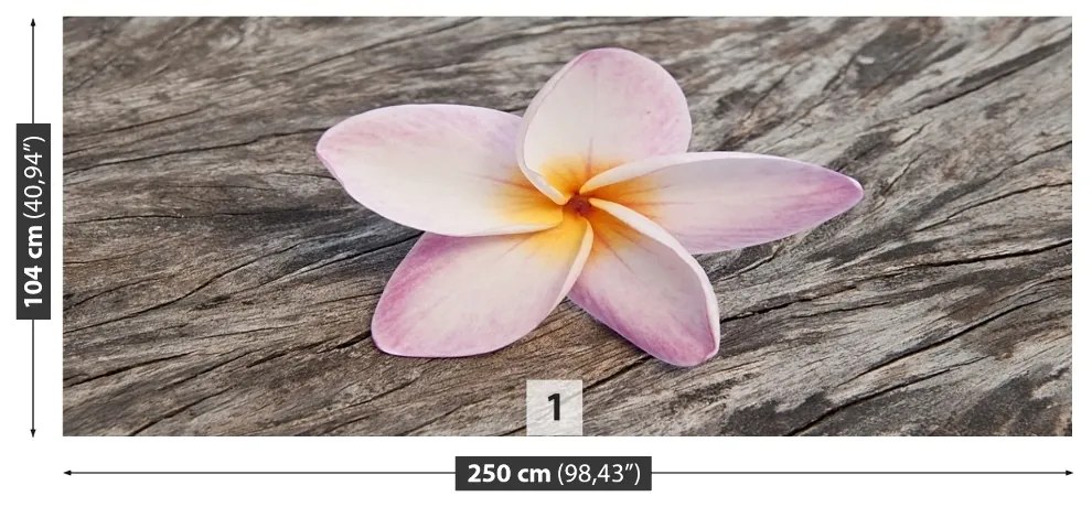 Fototapeta Vliesová Frangipani wood 152x104 cm