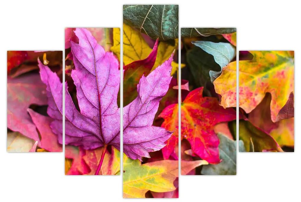 Obraz - jesenné listy (150x105 cm)