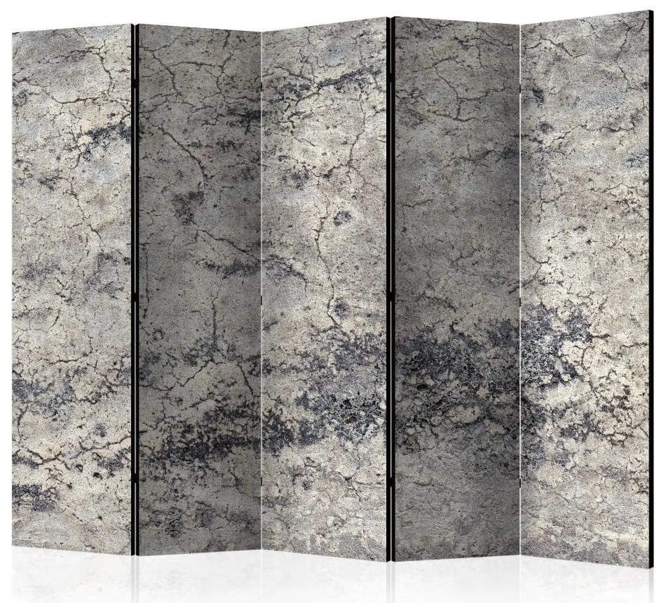 Artgeist Paraván - Grey Lady II [Room Dividers]