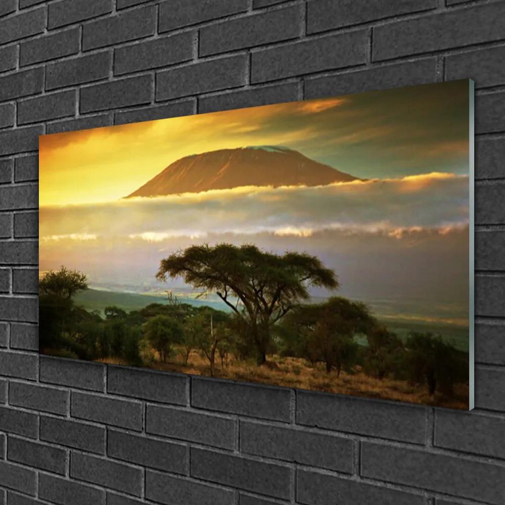 Obraz na skle Strom hory príroda 100x50 cm