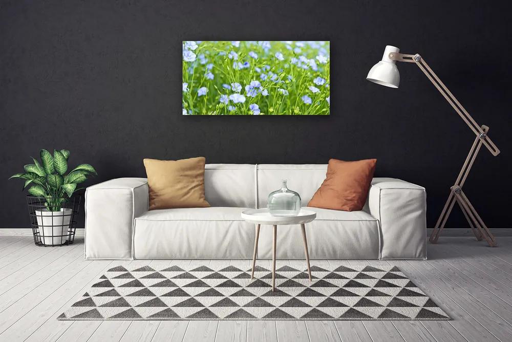 Obraz na plátne Kvety tráva rastlina príroda 125x50 cm