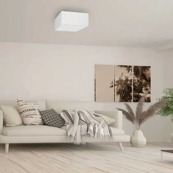 Stropné svietidlo ALBION 2xE27/60W/230V