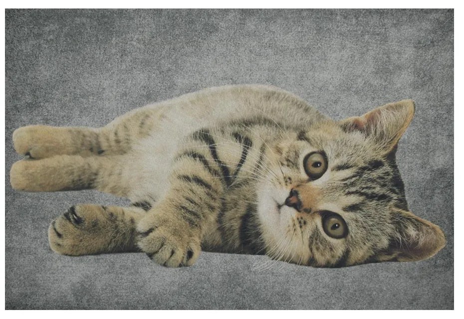 Šedá podlahová rohožka mourované mačiatko - 75 * 50 * 1cm