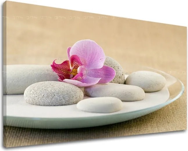 Obraz na stenu FENG SHUI FS042E11