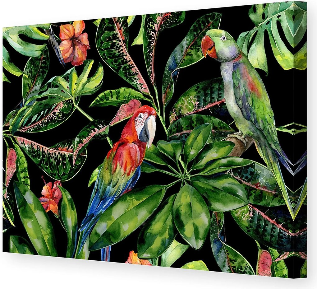Plátno maľba Tropical Birds