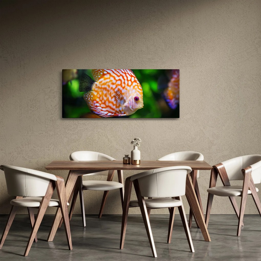 Obraz ryby (120x50 cm)