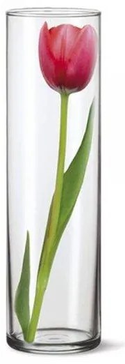 SKLENENÁ VÁZA SIMAX 275 MM