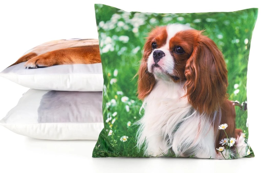 DETSKÁ DEKORAČNÁ OBLIEČKA NA VANKÚŠ ANIMAL74 45X45 CM VZOROVANÁ