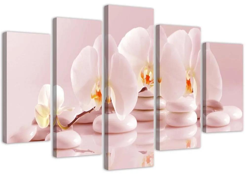 Obraz na plátně pětidílný Růžový květ orchideje - 100x70 cm