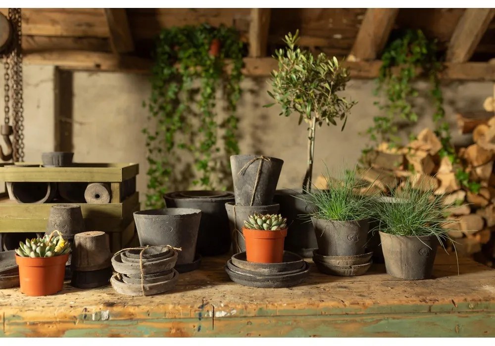 Set 3 misiek pod kvetináč z terakoty Esschert Design