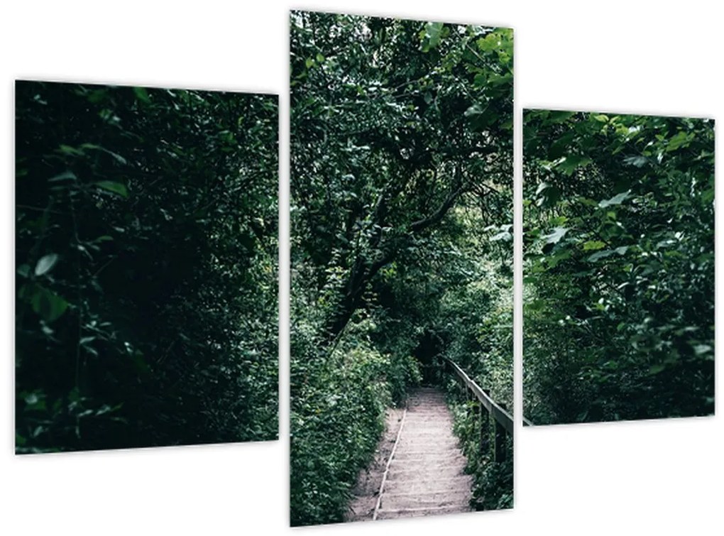 Obraz - Cesta lesom (90x60 cm)